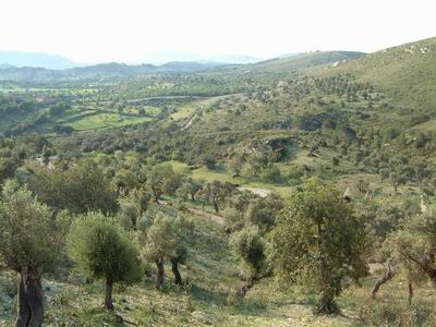 DSCF0005.JPG